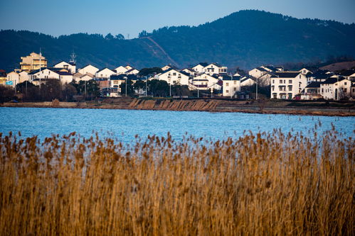 苏州打造 太湖生态岛