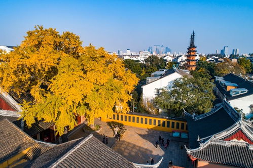2021中秋月饼博物馆,请访问bowuguan.taobao.com9 xixi av0mxopgqc5 世界博物馆环游.世界 极品中文域名限时出售苏州 江苏 中国 旅游 环游世界 旅行 景点 度假 人文 历史 文化 文艺 自然 风光 风景 民俗 观光 江