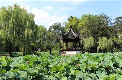 苏州、周庄、无锡浪漫休闲巴士3日跟团游(经典线路,周庄含画舫,送游船)(苏州、周庄、无锡浪漫休闲巴士3日跟团游(经典线路,周庄含画舫,送游船)+A行程)-国内游-驴妈妈旅游
