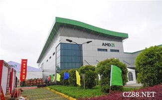 刷新微软纪录 amd或已补交14亿元税款