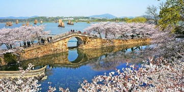 苏州火车站出发 实时计价 华东五市 鼋头渚赏太湖 苏州园林 水乡周庄 乌镇 南浔古镇高铁6日跟团游 同程旅游