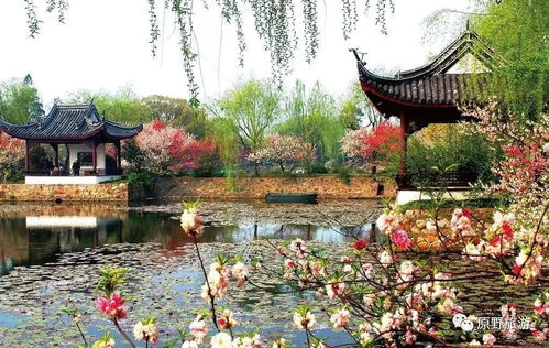 苏州香雪海 木渎古镇 盘门 七里山塘街二日游