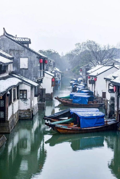 元旦快来了,国内游还是国外游,您想好了嘛