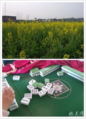 [喜游新年]回成都过新年 - 国内游 - 姑苏网 - 苏州综合社区门户网站|苏州论坛|姑苏论坛|苏州门户网
